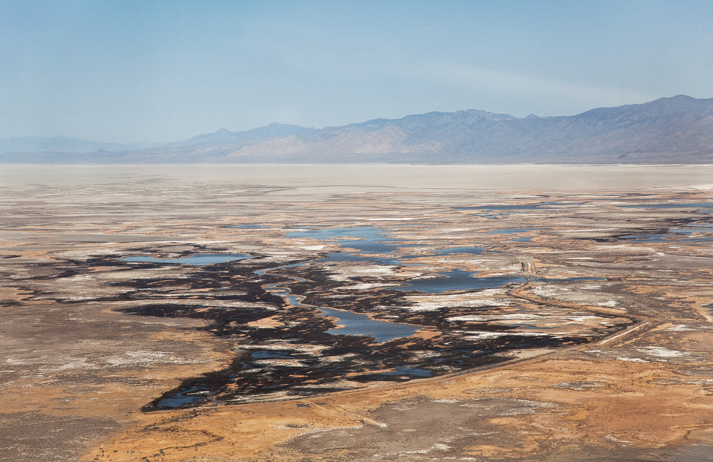 4. Stillwater Nat'l Wildlife Refuge - Carson Sink, NV (Lead Bypass